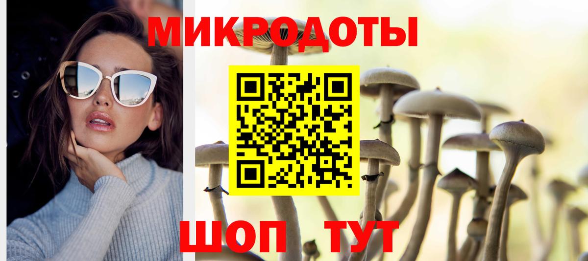 Галлюциногенные грибы GOLDEN TEACHER Сухой Лог